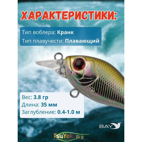 Воблер TsuYoki GAMBIT 35F WR006, Цвет: WR006, Вес воблера (г): 10, Длина воблера (мм): 35, фото , изображение 2