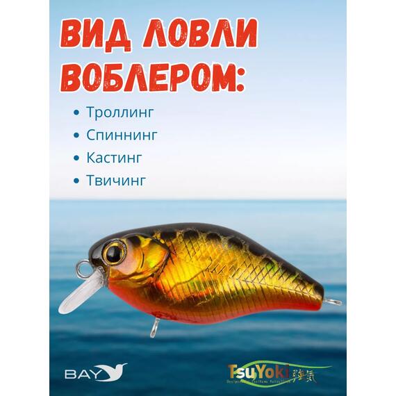 Воблер TsuYoki CHEF 38F 264G, Цвет: 264G, Вес воблера (г): 4,3, Длина воблера (мм): 38, Тип воблера: Крэнк, Тип плавучести : плавающий, Штрихкод: 462713996, Количество крючков: 2, фото , изображение 3