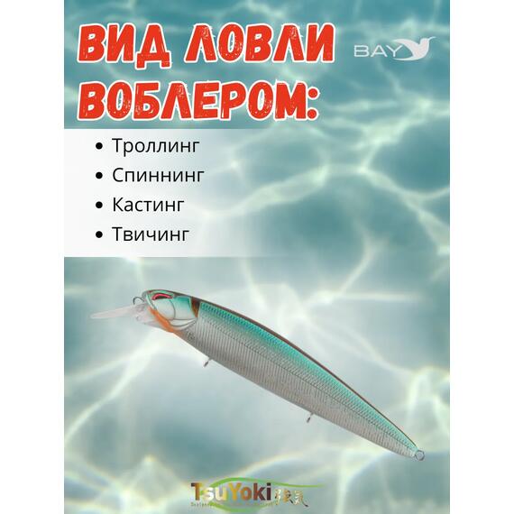 Воблер TsuYoki DIPLOMAT SR 110 SP WR002, Цвет: WR002, Вес воблера (г): 19, Длина воблера (мм): 110, фото , изображение 3