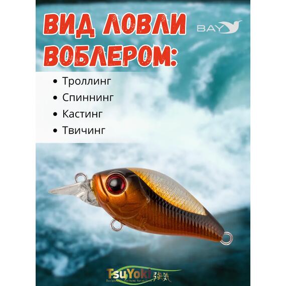 Воблер TsuYoki GAMBIT 35F SD001, Цвет: SD001, Вес воблера (г): 10, Длина воблера (мм): 35, фото , изображение 3