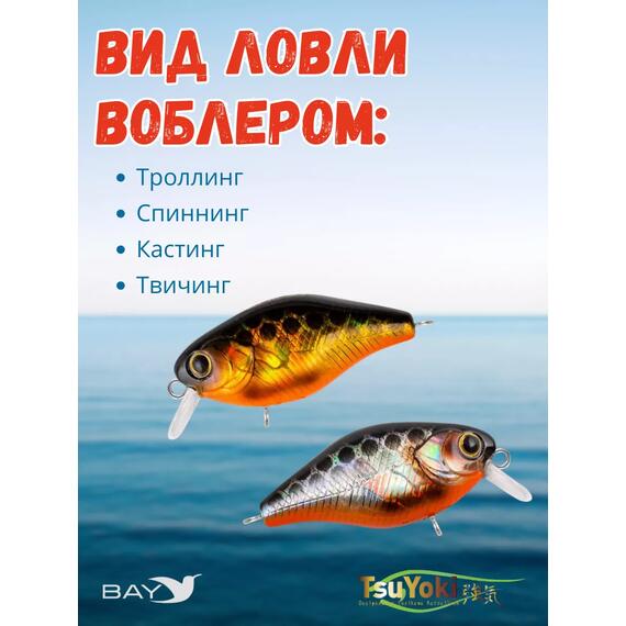 Воблер TsuYoki CHEF 38F 264W, Цвет: 264W, Вес воблера (г): 4,3, Длина воблера (мм): 38, Тип воблера: Крэнк, Тип плавучести : плавающий, Штрихкод: 462713997, Количество крючков: 2, фото , изображение 3