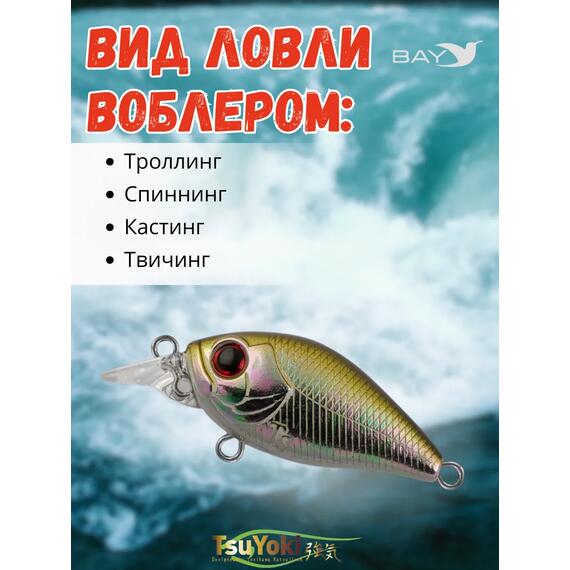 Воблер TsuYoki GAMBIT 35F WR006, Цвет: WR006, Вес воблера (г): 10, Длина воблера (мм): 35, фото , изображение 3