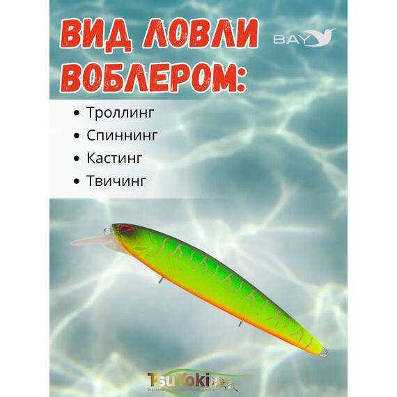 Воблер TsuYoki DIPLOMAT SR 110 SP 013, Цвет: 013, Вес воблера (г): 19, Длина воблера (мм): 110, фото , изображение 3