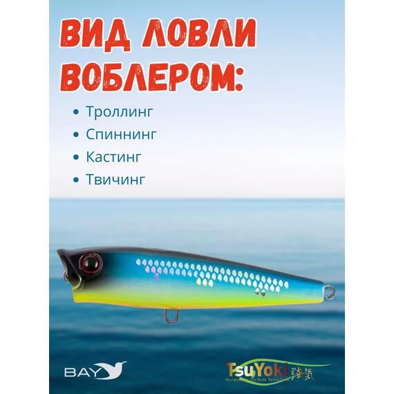 Воблер TsuYoki GORN 65F 805S, Цвет: 805S, Вес воблера (г): 7, Длина воблера (мм): 65, Тип воблера: Поппер, Тип плавучести : плавающий, Штрихкод: 4627139944, Количество крючков: 2, фото , изображение 3