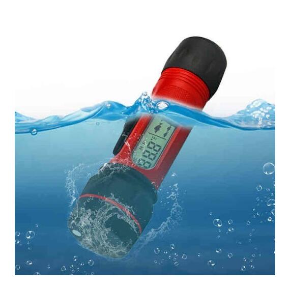 Эхолот Скат Луч (F12)