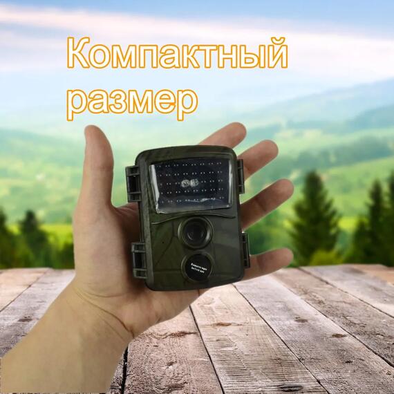 Фотоловушка Teltos A (Телтос), фото , изображение 2