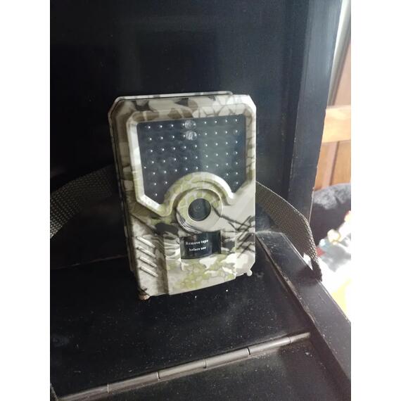 Фотоловушка Teltos Next (Телтос), фото , изображение 8