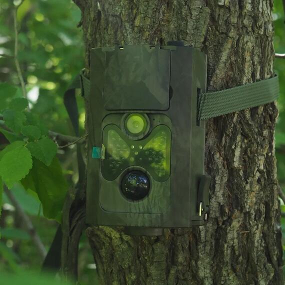 Фотоловушка Teltos 120 MMC (Телтос), фото , изображение 18