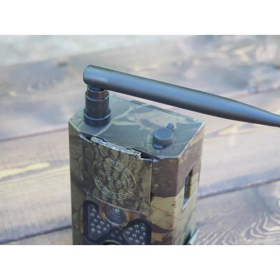 Фотоловушка Teltos 120 MMC (Телтос), фото , изображение 17