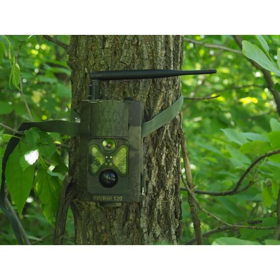 Фотоловушка Teltos 120 MMC (Телтос), фото , изображение 19