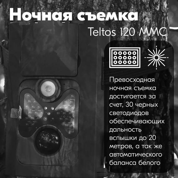 Фотоловушка Teltos 120 MMC (Телтос), фото , изображение 6