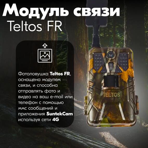 Фотоловушка Teltos FR (Телтос) на батареях АА, фото , изображение 7
