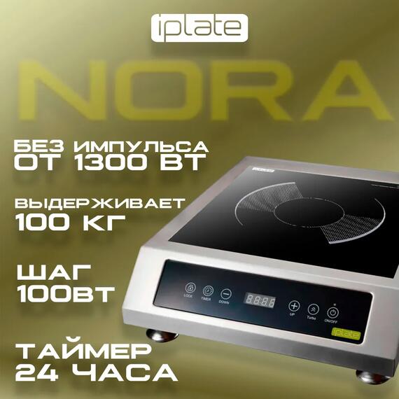 Индукционная плита IPlate NORA, фото , изображение 2
