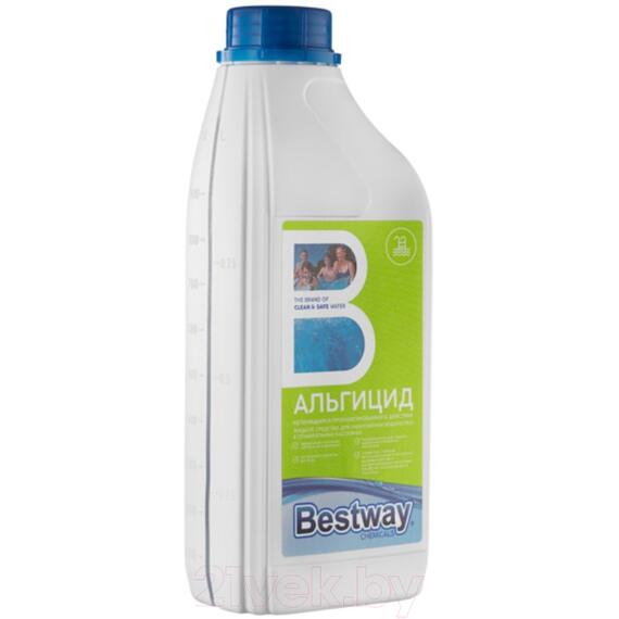 Средство для борьбы с водорослями Bestway Альгицид непенящийся AP1LBW (1кг), фото , изображение 2