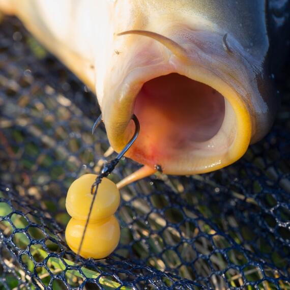 Крючки Карповые CARP PRO Black Nickel Wide Gape Classics №2, фото , изображение 3