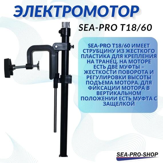 Электромотор транцевый Sea-Pro T18/60, фото , изображение 3