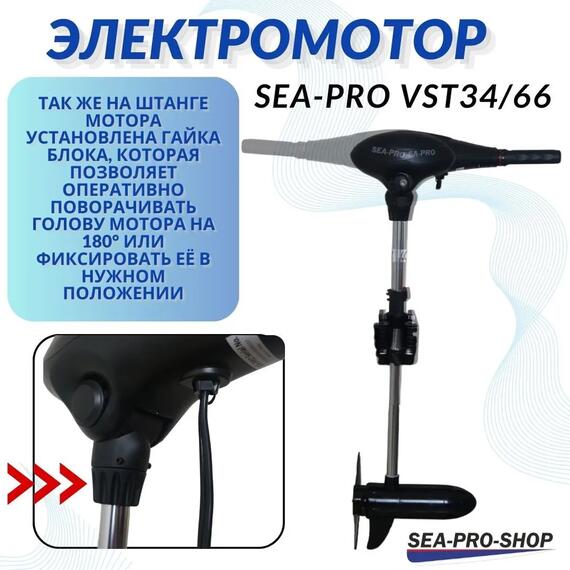 Электромотор транцевый Sea-Pro VST34/66, фото , изображение 3