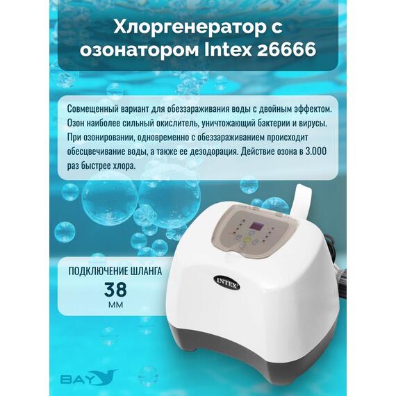 26666 Система санобработки воды в бассейне Intex Saltwater and ozone 230 вольт, фото , изображение 2