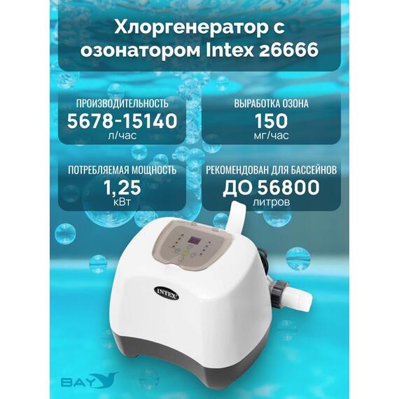 26666 Система санобработки воды в бассейне Intex Saltwater and ozone 230 вольт, фото , изображение 3