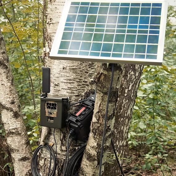 Фотоловушка Seelock Spromise S378, фото , изображение 3