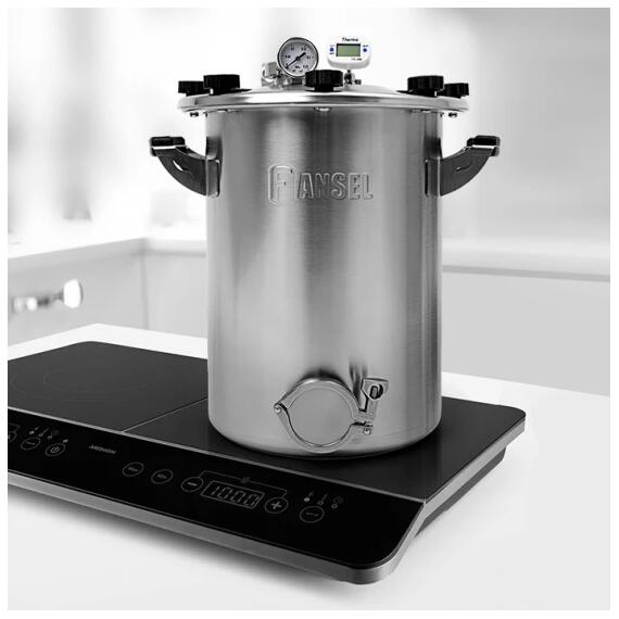 Автоклав Fansel 3 22 л, Объем, л: 22 л, фото , изображение 3