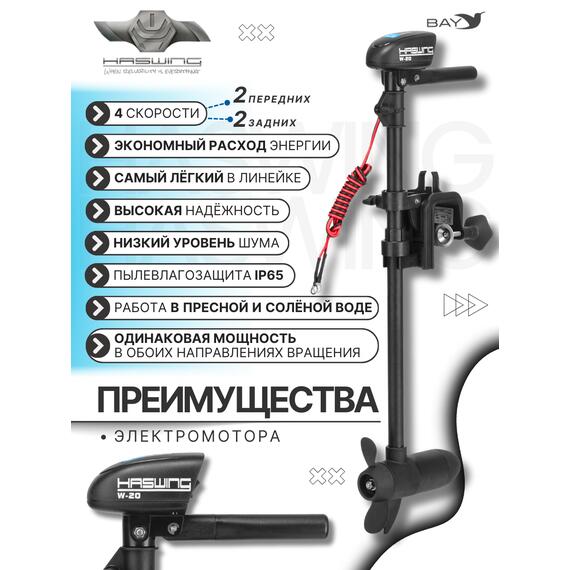 Электромотор лодочный Haswing W-20, фото , изображение 2