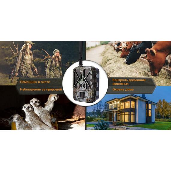 Фотоловушка Suntek HC-940Pro, фото , изображение 5