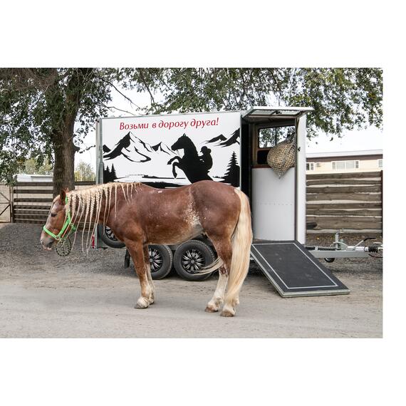 Фургон Коневоз "Жокей", фото , изображение 2