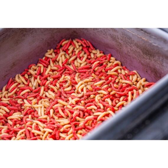 Набор емкостей GURU Fusion Ventilator EVA 5шт с крышкой сеткой, Количество: 5 шт, фото , изображение 3