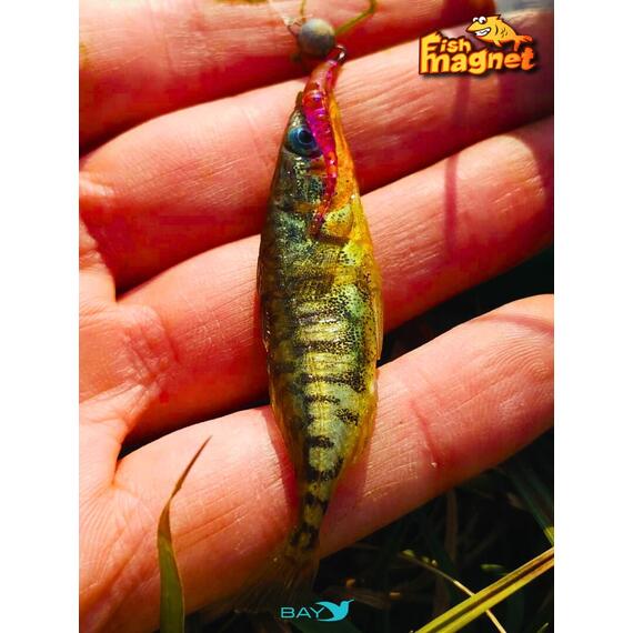 Силиконовая приманка пассивная съедобная Fish Magnet BITA 2" (50.8 мм), цвет 133, 10 шт на рыбалку для окуня, Цвет: 133, Вес: 0.4 г, фото , изображение 8