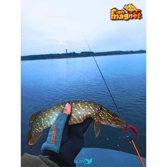 Силиконовая приманка Fish Magnet LUCY 3.5 цвет 131, Цвет: 131, Вес: 0.4, фото , изображение 5