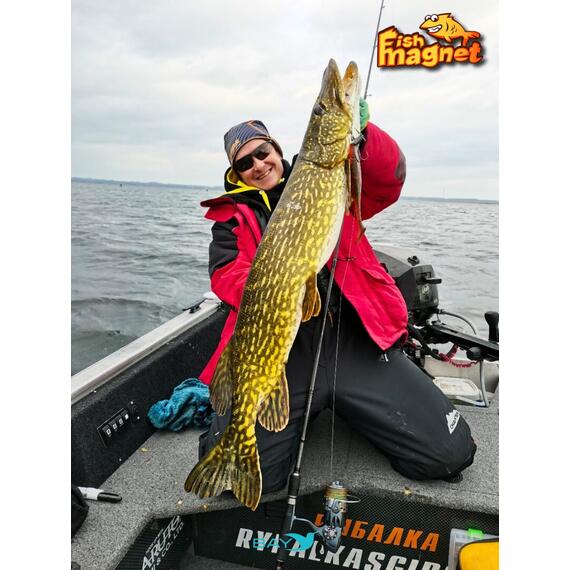 Силиконовая приманка Fish Magnet PUMBAA 6 размер 152.4 мм, цвет 206, Цвет: 206, Вес: 0.4, фото , изображение 5