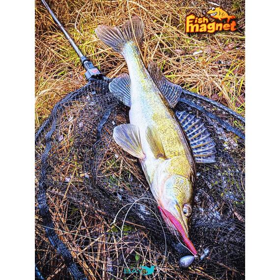 Силиконовая приманка Fish Magnet SEKSIK 2.8 размер 71 мм, цвет 125, Цвет: 125, Вес: 0.4 г, фото , изображение 5