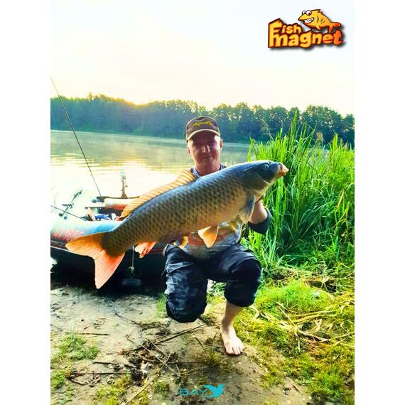 Силиконовая приманка Fish Magnet SHISHKA 2.7 размер 68.6 мм , цвет 002, Цвет: 002, Вес: 0.4 г, фото , изображение 4