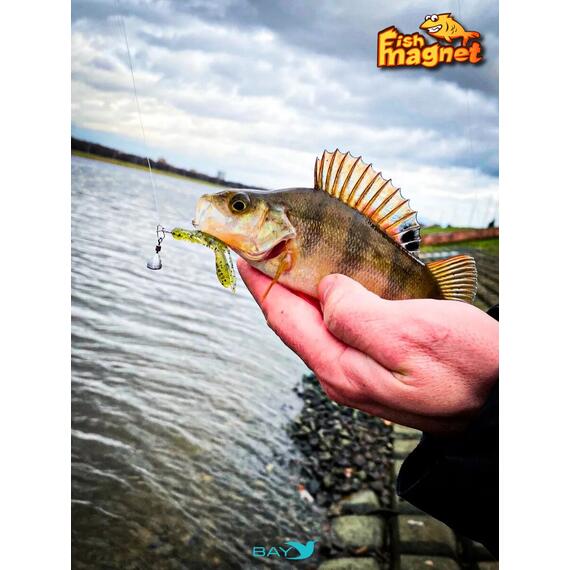 Силиконовая приманка Fish Magnet SHREDER 1.6 размер 40,6 мм, цвет 004, Цвет: 004, Вес: 0.4 г, фото , изображение 4