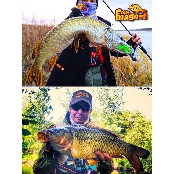 Силиконовая приманка Fish Magnet SHREDER 2.4 размер 61 мм, цвет 003, Цвет: 003, Вес: 0.4 г, фото , изображение 5