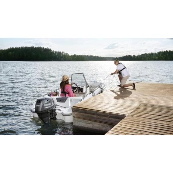 Лодочный мотор Yamaha F25 GETS, фото , изображение 2