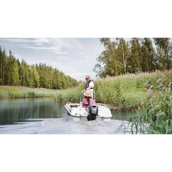 Лодочный мотор Yamaha F25 GETS, фото , изображение 3