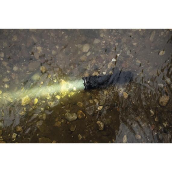 Тактический фонарь Armytek Dobermann White, фото , изображение 11