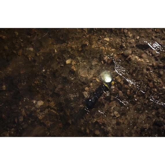 Налобный фонарь Armytek Elf C2 Max USB-C White, фото , изображение 9