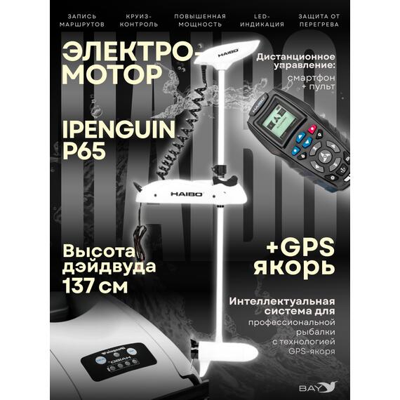 Электромотор лодочный Haibo iPenguin P65 (GPS якорь), фото 
