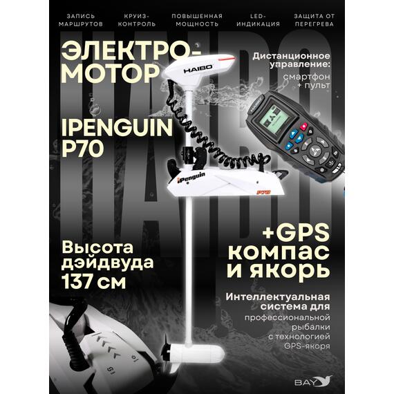 Электромотор лодочный Haibo iPenguin P70, фото 