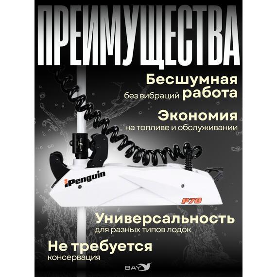 Электромотор лодочный Haibo iPenguin P70, фото , изображение 6