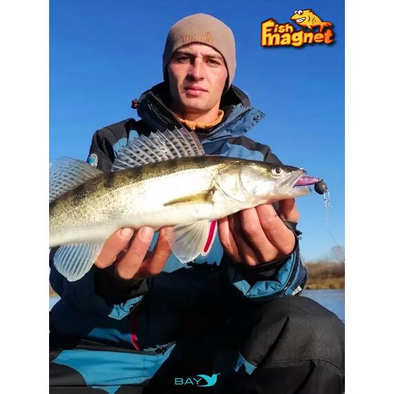 Силиконовые приманки Fish Magnet Talisman Pro 4" (102 мм) цвет 204, Вес, гр: 4.5, Расцветка: 204, фото , изображение 4