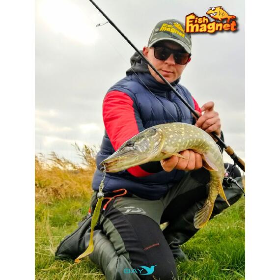 Силиконовая приманка Fish Magnet UGOR 4" (101.6 мм) цвет 123, Вес, гр: 4.5, Расцветка: 123, фото , изображение 5