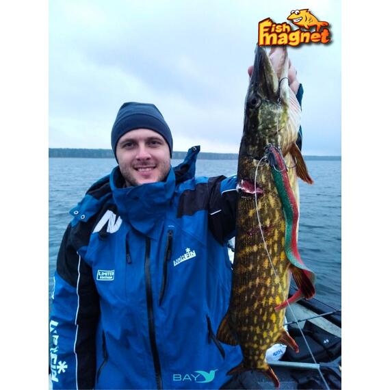 Силиконовая приманка Fish Magnet UGOR 5.5" (140 мм) цвет 224, Вес, гр: 4.5, Расцветка: 224, фото , изображение 4