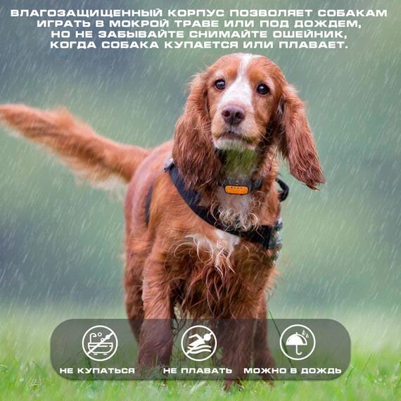 Ошейник антилай для собак спреевый Trainertec SP12, фото , изображение 9