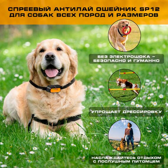 Ошейник антилай для собак спреевый Trainertec SP12, фото , изображение 8