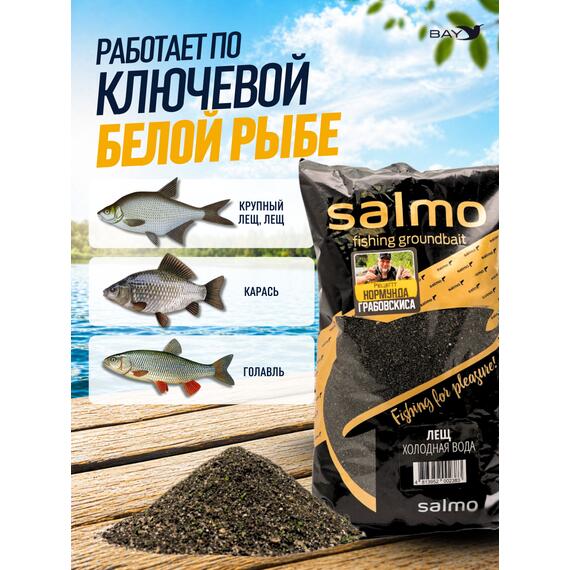 Прикормка SALMO Лещ Холодная вода, фото , изображение 2