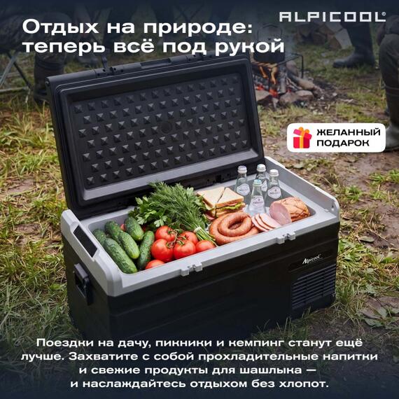 Автохолодильник Alpicool TS100 (12/24), фото , изображение 53